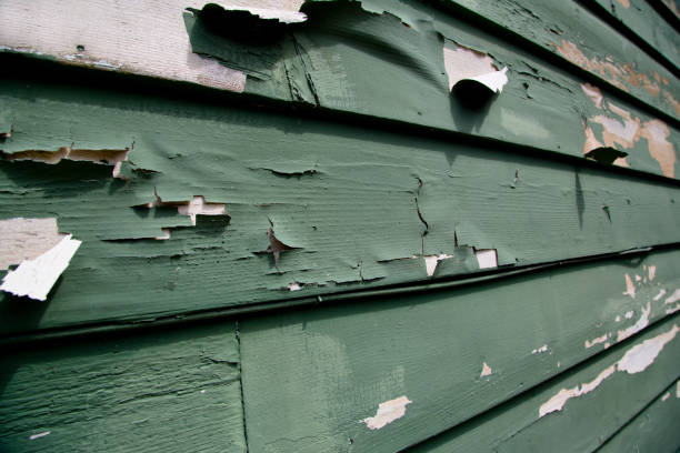 Affordable Siding Repair and Maintenance Services in Glasgow, VA